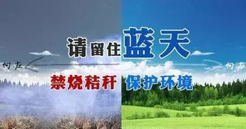呵護山水林田湖草生命共同體——張掖整體推進祁連山生態修復與環境保護監測